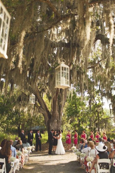 my dream to be married under a weeping willow tree Note: Already Married TWICE and Happily this second time. Never Wed under a Weeping Willow Tree but It sure would be beautiful! Tree Wedding Ceremony, Wedding Ceremony Chairs, Willow Tree Wedding, Tree Backdrop, Lantern Decor Wedding, Weeping Willow Tree, Ceremony Chairs, Wedding Tree, Wedding Lanterns