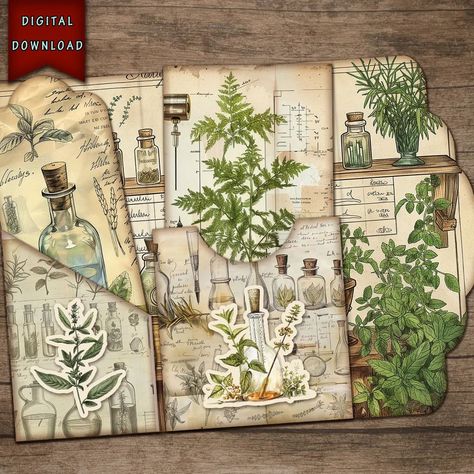 New herbal science folio by Night Pixie Designs. #junkjournal #junkjournalsupplies #journaling https://nightpixiedesigns.etsy.com/listing/1747686365 Botanist Journal, Botany Journal, Herbal Journal, Junk Journal Supplies, Natural Science, Science Themes, Journal Digital, Journal Supplies, Journaling Scrapbooking