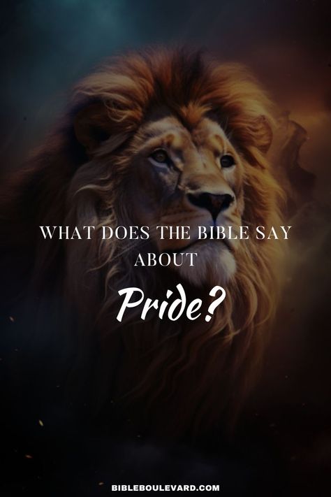 What Does the Bible Say About Pride? Bible Verses For Kids, A Barrier, Bible Devotions, Bible Verses Quotes Inspirational, Verse Quotes, Bible Verses Quotes, The Bible, Bible Study, Verses