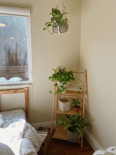 Light Wood And Plants Bedroom, Mid Century Modern Bedroom Plants, Minimalistic Plant Bedroom, Minimalist Plant Room Aesthetic, Plant Based Room, Minimalist Plant Room, White Room With Plants, Plant Parent Aesthetic, Room Plant Aesthetic