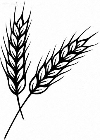 Drawings of Wheat Stalks | black and white drawing of two stalks of wheat Wheat Drawing, Wheat Tattoo, Wheat Bundle, Black And White Drawing, Bible Art, Royalty Free Pictures, Pyrography, Black Tattoos, Free Pictures