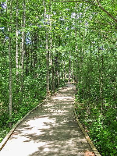 Boardwalk on The Green Circle Bike Trail in Stevens Point Wisconsin Stevens Point Wisconsin, College Tours, Group Dates, Retirement Strategies, Bicycle Trail, Walking Trail, Bicycle Travel, Bike Trail, Green Circle