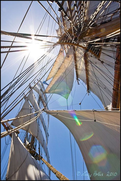 Navi A Vela, Float Your Boat, Tall Ship, Sailing Vessel, Pirate Life, Beach Lover, Tall Ships, Set Sail, Wooden Boats