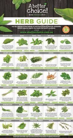 Herb Guide, Small Backyard Design Ideas, Medicinal Herbs Garden, Backyard Design Ideas, Medical Herbs, Magia Das Ervas, Local Fruit, Small Backyard Ideas, Fruit Shop