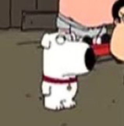 Brian Family Guy, Getting Attached, Brian Griffin, Family Guy Funny, Family Guy Funny Moments, Spongebob Funny, Goofy Pictures, Funny Profile, American Dad