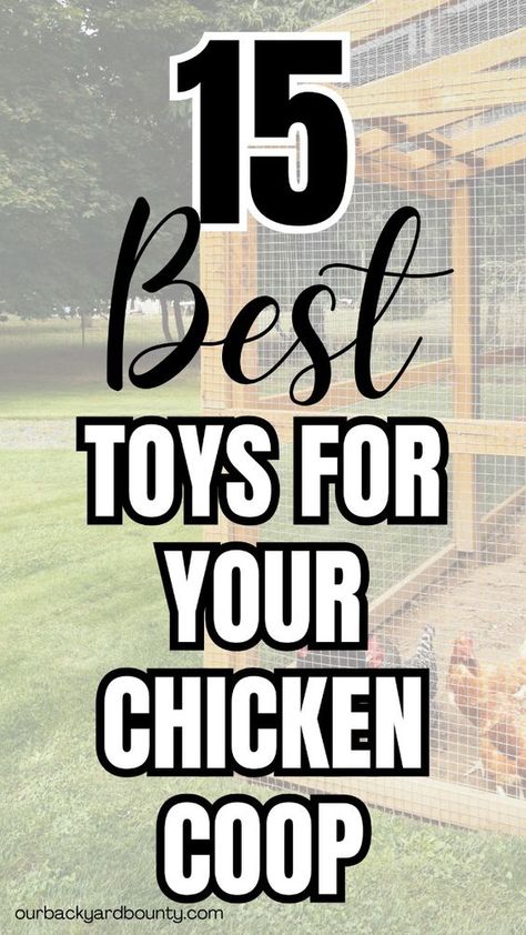 Chickens need toys in their chicken coop. Especially if they are not free ranged! When chickens get bored, it can lead to health and behavioral problems. These simple and affordable chicken coop toys can make such a big difference. Plus it's fun to watch your chickens play! Affordable Chicken Coop, Chicken Coop Toys, Chicken Toys For Coop, Beginner Homesteading, Chicken Boredom, Inside Chicken Coop, Chicken Coups, Chicken Perches, Chicken Pecking