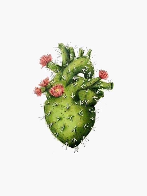 Cactus Heart, Witcher Wallpaper, Surealism Art, Mexican Culture Art, Flowers Heart, Red Socks, Cactus Decor, Cactus Flowers, Mexican Culture