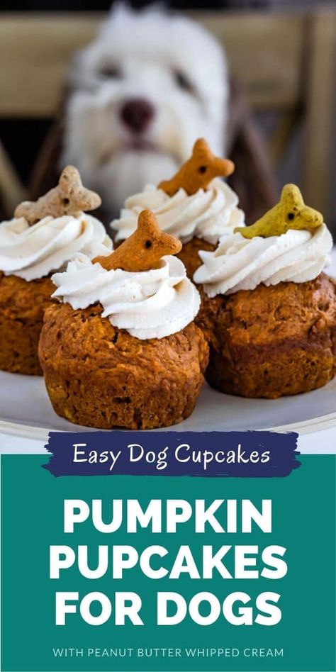 Carrot Dog Cake, Pupcakes Dog, Cupcakes For Dogs Recipe, Pupcake Recipe, Dog Cake Recipes, Carrot Dogs, Pet Treats Recipes, Easy Dog Treat Recipes, Dog Cupcakes