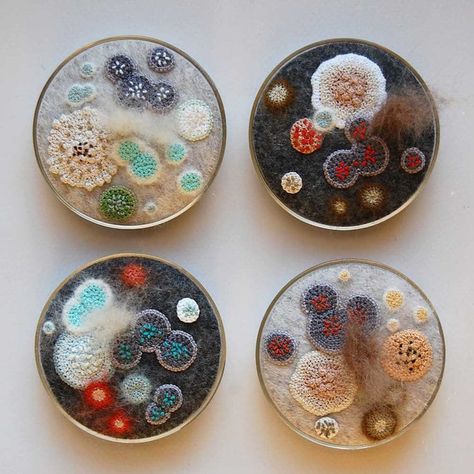 Elin Thomas' Felt Fiber Art Makes Fuzzy Fungi Look Cute Mold Art Ideas, Embroidery Science, Elin Thomas, Mold Art, فن النسيج, Dish Art, Fungi Art, Growth And Decay, Petri Dishes