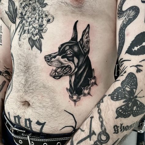 Doberman Chest Tattoo, Doberman Stomach Tattoo, Angry Doberman Tattoo, Doberman Skull, Dog Muzzle Tattoo, Traditional Doberman Tattoo, Doberman Tattoo Design, Demon Dog Tattoo, Traditional Dog Tattoo