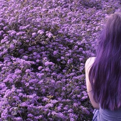 Purple Hair Aesthetic Faceless, Lilac Hair Aesthetic, Purple Hair Girl Aesthetic, Lavender Grunge, Purple Hair Aesthetic, Purple Vibe, Hair Aesthetic, Purple Girls, All Things Purple