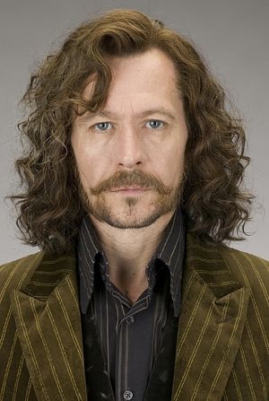 Which Harry Potter Character Are You?  You got: Sirius Black You’re moody, cocky and confident. You hate being idle and love getting into trouble. You can be ruthless towards people you dislike but no one can ask for a more loyal and generous friend than you. Sirius Black Gary Oldman, Harry Potter Creatures, Harry Potter Sirius, Film Harry Potter, Harry Potter Wiki, Buku Harry Potter, Images Harry Potter, Septième Art, Bellatrix Lestrange