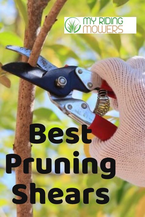 Using Thinning Shears At Home, Thinning Shears How To How To Use, Pruning Shears Tools, Synaptic Pruning, Best Lawn Mower, Hedge Shears, Types Of Shrubs, Pruning Tools, Dry Branch