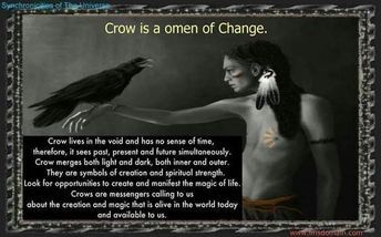 Crow Spirit Animal, Spirit Animal Meaning, Animal Meanings, Animal Spirit Guide, Native American Wisdom, Animal Spirit Guides, A Crow, Animal Guides, Crow Art