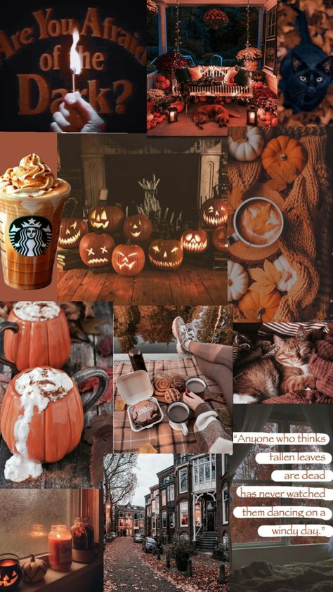 #fall #fallaesthetic #fallgirlaesthetic #autumn #autumnaesthetic #october #vibes #wallpaper #wallpapercollage #wallpaperaesthetic #collages #fyp #fypshuffle October Vibes Wallpaper, October Vibes, Collage Wallpaper, Vibes Wallpaper, Preppy Fall, Windy Day, Autumn Cozy, Autumn Aesthetic, Girl Falling