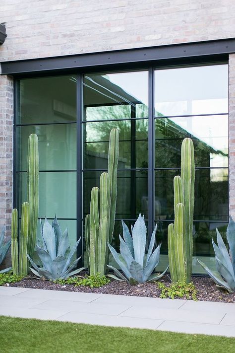 Desert Backyard, Windows Black, Front Yard Decor, Modern Front Yard, Desert Garden, Black Windows, Yard Design, House Landscape, Front Yard Landscaping Design