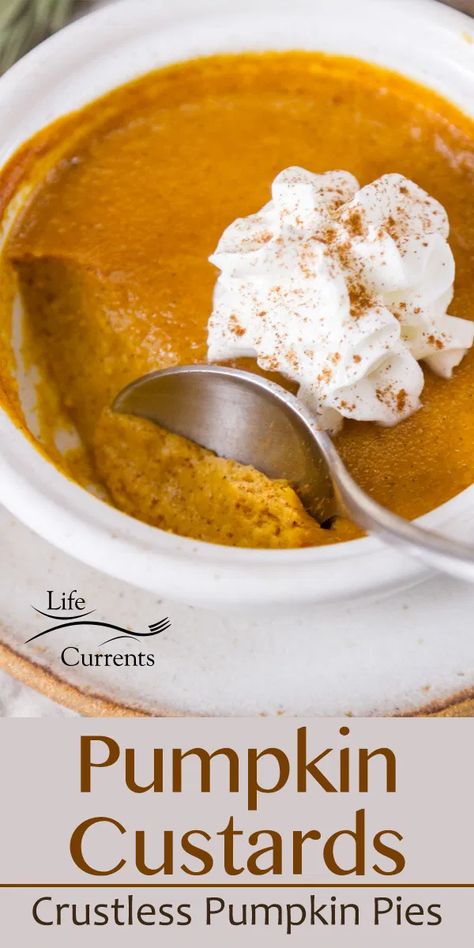 Pumpkin Pie Custard, Pumpkin Pie Ice Cream, Crustless Pumpkin Pie, Pumpkin Custard, Pumpkin Pudding, Pumpkin Pies, Holiday Dessert Recipes, Custard Recipes, Pumpkin Recipes Dessert