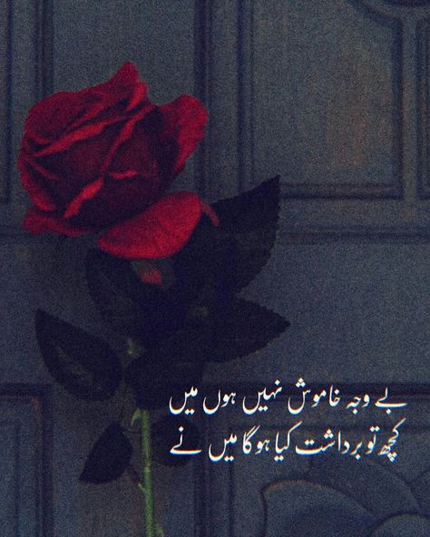 Best Quotes In Urdu, Silence Quotes, Quotes In Urdu, Poetry Quotes In Urdu, Happy Thanksgiving Quotes, Heart Touching Shayari, Urdu Words, Henna Designs Hand, Thanksgiving Quotes