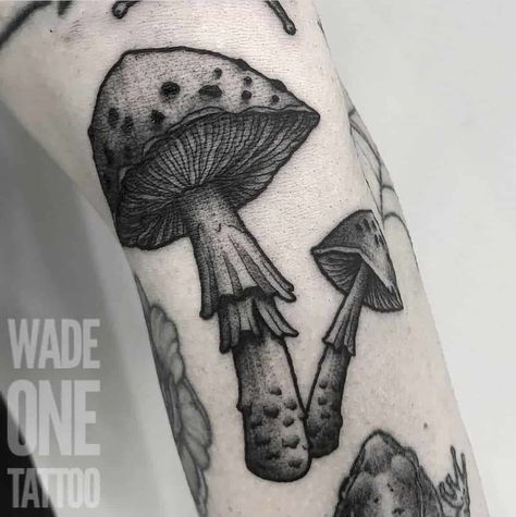 Mushroom Gill Tattoo Design 1 Mushroom Tattoo Ideas, Cross Stitch Tattoo, Mushroom Tattoo, Stitch Tattoo, Saved Tattoo, Mushroom Tattoos, 4 Tattoo, Nature Tattoos, Skin Art