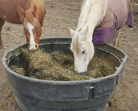 Hay Nets and DIY Slow Feed Hay Feeders Diy Hay Feeder For Horses, Horse Feeder Diy, Rubbermaid Stock Tank, Horse Slow Feeder, Diy Hay Feeder, Diy Barrel, Horse Mane Braids, Hay Feeder For Horses, Horse Feeder