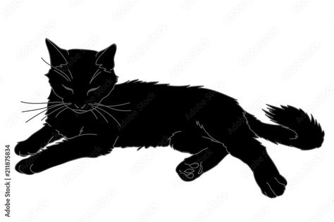 Black Cat Drawing, Black Cat Illustration, Back Drawing, Internet Cats, Drawing Face Expressions, Simple Sketch, Black Kitty, Cat Sketch, Sketch Style