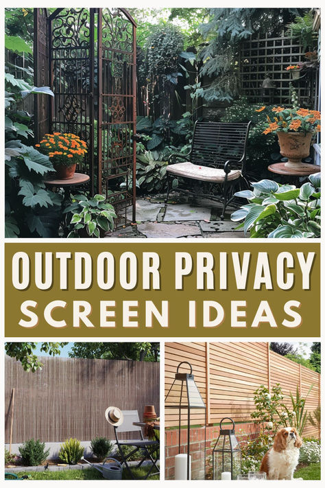 There are lots of affordable and DIY outdoor privacy screen options that you can try, here are some of the best ideas to help you transform your garden into a secluded space this summer. Discover 15 stunning ideas for your garden this year! Privacy Screen Trellis, Garden Windbreak Ideas, Privacy Patio Ideas, Diy Outdoor Privacy Screen, Outdoor Privacy Screen Ideas, Diy Outdoor Privacy, Outdoor Privacy Screen, Workbench Plans Diy, Diy Patio Decor