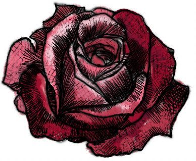 Rose Mandala Art, Dark Rose Drawing, Red Doodles Aesthetic, Red Doodles, Hamster Tattoo, Flower References, Dark Red Roses, Rose Drawing, Roses Drawing