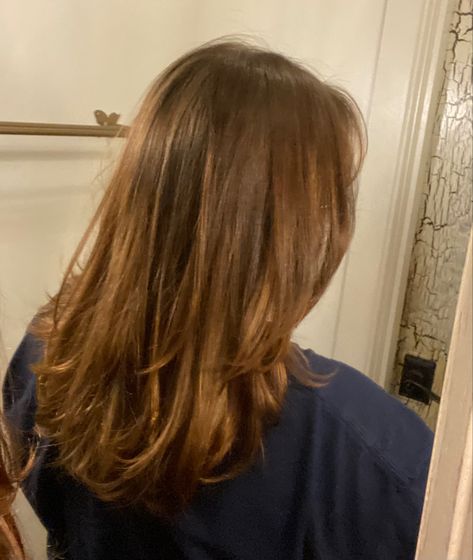 Medium Length With Layers, Brown Hair Medium Length, Hair Cut Lengths, Brown Hair Medium, Armpit Length Hair, Brown Mid Length Hair, Wavy Mid Length Hair, Mid Length Straight Hair, Brown Hair Cuts