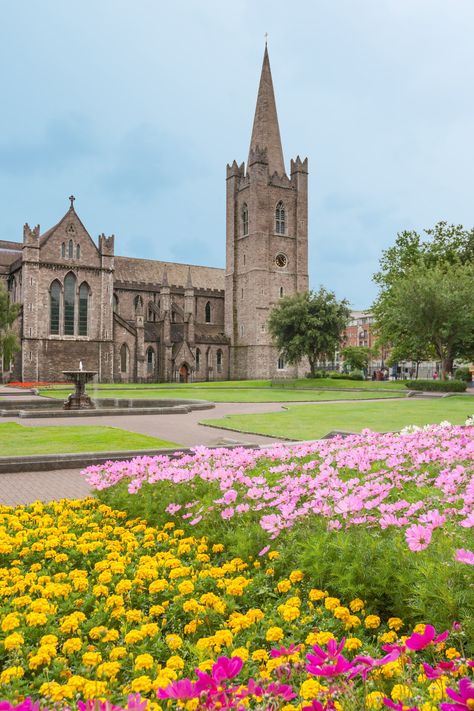 St Patricks Cathedral Ireland, St Patrick’s Cathedral Dublin, Ireland Cathedral, Dublin Ireland Aesthetic, Ireland 2023, Dublin Travel Guide, Viking Ocean Cruise, Ireland Aesthetic, St Patrick's Cathedral