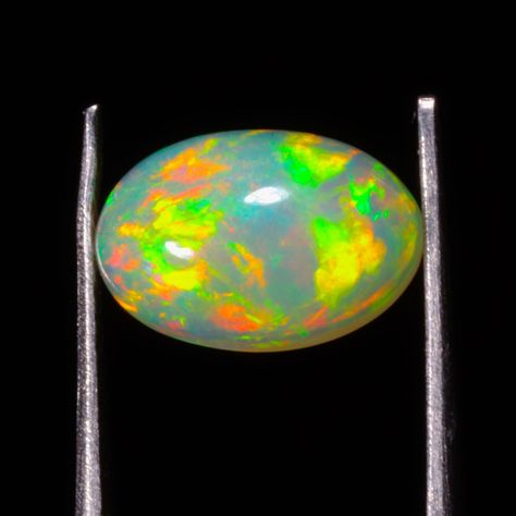 Excited to share the latest addition to my #etsy shop: AAA Quality Ethiopian Opal Loose Gemstone, 1.60 Ct Semi Precious Handmade Gemstone, Great For Making Opal Jewelry #yellow #birthday #christmas #lovefriendship #no #gemstone #green #opal #aaaqualityopal Yellow Birthday, Green Opal, Opal Jewelry, Ethiopian Opal, Loose Gemstones, Semi Precious, Opal, Etsy Shop, Gemstones