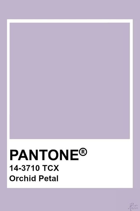 COLOR PALETTE -  COLOR PALETTE Paris Doodles, Doodles Aesthetic, Pantone Tcx, Pantone Color Chart, Pantone Swatches, Pantone Palette, Pantone Colour Palettes, Lavender Aesthetic, Paint Color Palettes