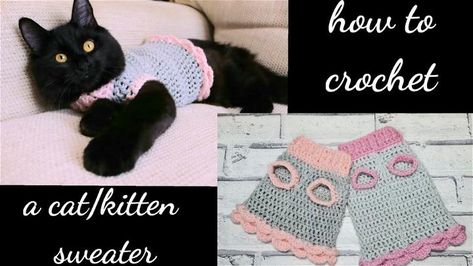 14 Free Crochet Cat Sweater Patterns - Blitsy Crochet Kitten Sweater, Crochet Cat Sweater Free Pattern, Crochet Cat Sweater Pattern, Kitten Sweater Pattern, Crochet Cat Sweater, Cat Sweater Pattern, Sweaters For Cats, Kitten Crochet, Cat Hat Pattern