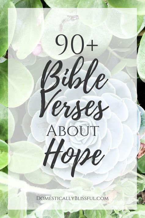 90+ Bible verses about hope to give you encouragement now & in the future in God’s faithful promises.  | Christian | Christianity | Bible quotes | Bible promises | patient | hope | love | faith | bible verses quotes | bible study | bible journaling | bible verses to live by | Hope Quotes Bible, Bible Verses About Hope, Verses About Hope, Faith Bible Verses, Domestically Blissful, Hope Bible Verses, Promise Quotes, Best Bible Quotes, Now Quotes