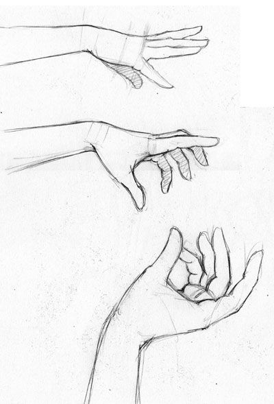 Hand Reaching Out Drawing, Hands Reaching Out, Drawing Hands, Hand Drawing Reference, Hand Reference, Foto Poses, Anatomy Drawing, Poses References, Hand Sketch