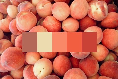 Fruit Color Palette, Color Palette Pastel, Color Schemes Colour Palettes, Peach Fruit, Asking Questions, Pastel Colour Palette, World Of Color, Yours Truly, Color Pallets