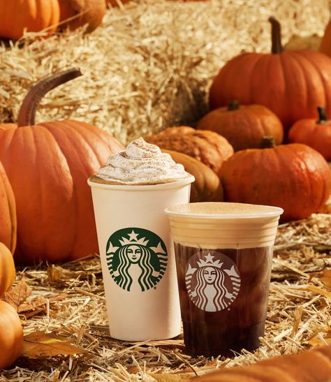 Pumpkin Spice Frappuccino, Fall Starbucks, Starbucks Fall Drinks, Best Starbucks Drinks, Caramel Apple Spice, Starbucks Pumpkin Spice Latte, Carla Hall, Starbucks Pumpkin Spice, Fall Menu