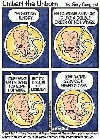 Womb service to the rescue! We love this pregnancy humor! Pregnancy Memes, Baby Pregnancy, Pregnancy Quotes, Pregnancy Humor, E Card, Bones Funny, Baby Love, I Laughed, Just In Case