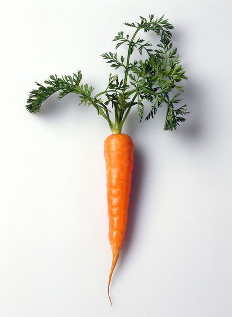 How To Plant Carrots, Vegetables Photography, Age Spot, Carrot Seed Oil, Essential Oils For Skin, Coconut Oil For Skin, Top Skin Care Products, Oil Skin Care, Best Essential Oils