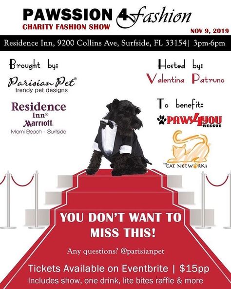 Pawssion 4 Fashion is a fashion show fundraising event that will help save the lives of dogs and cats in our community!  Follow Link to Purchase your Ticket Now!   #dogfashionshow #charityevent #fashionshow Cat Fashion Show, Fashion Show Ideas, Fashion Show Event, Fundraising Event, Charity Event, Pet Fashion, November 9, Dog Blog, 3 Pm