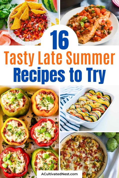 16 Delicious Late Summer Recipes- Craving something delicious as summer winds down? Check out these late summer recipes that capture the season's best flavors! Easy to make and perfect for outdoor dining— pin now and enjoy every bite! | #summerRecipes #recipeIdeas #sideDishes #vegetables #ACultivatedNest Late Summer Recipes, Peach Cobbler With Bisquick, Easy Ratatouille Recipes, Corn Zucchini, Stuffed Vegetables, Watermelon Salsa, Zucchini Chips Baked, Ratatouille Recipe, Watermelon Feta Salad