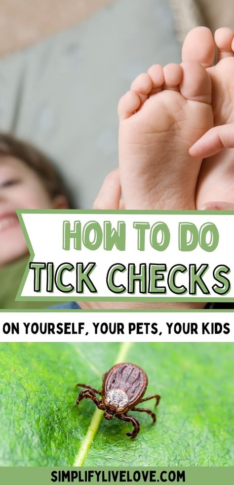 Ticks On Humans, Dog Ticks, Homestead Hacks, Types Of Ticks, Dream Homestead, Ticks On Dogs, Tick Removal, Tick Bite, Tick Repellent