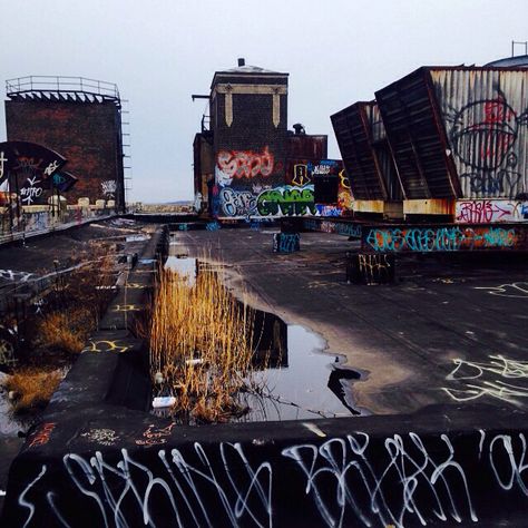 Roof top - abandon building Abandoned Rooftop Aesthetic, Rooftop Abandoned, Winged Oc, Abandoned Graffiti, Abandon Building, Penthouse Rooftop, Abandoned City, Isle Of The Lost, Abandoned Cities