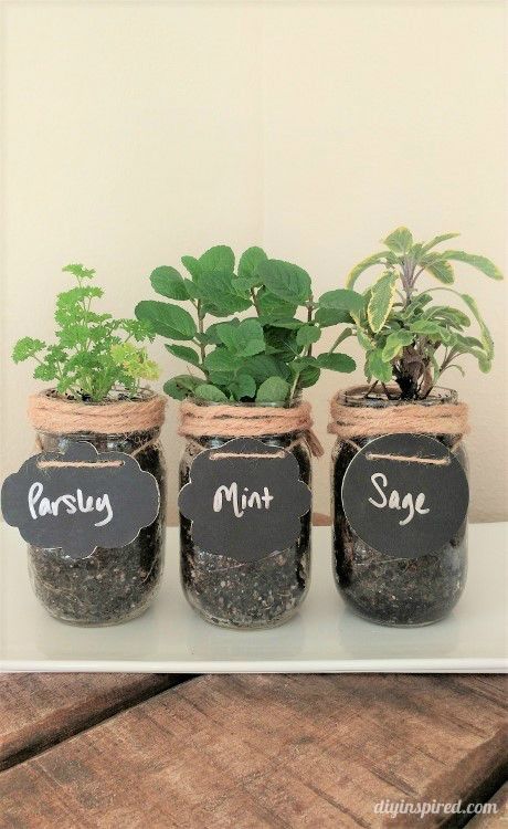 DIY Mason Jar Herb Garden Instructions Jar Herb Garden, Mason Jar Herbs, Herb Diy, Mason Jar Herb Garden, Kitchen Window Sill, Diy Mason Jar, Diy Hanging Shelves, Mason Jar Projects, Mason Jar Flowers