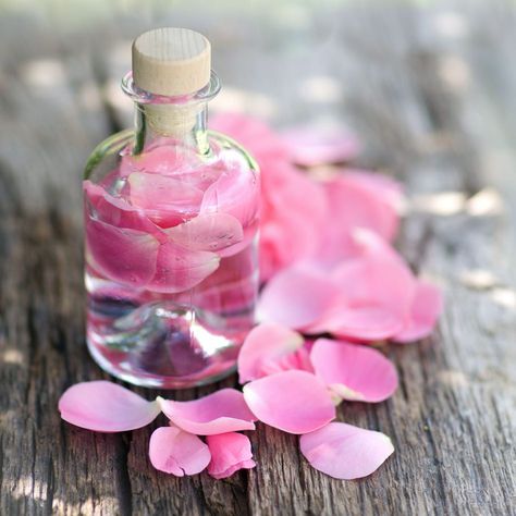 Rose Water vial Rose Water Benefits, Rose Water Toner, Bulgarian Rose, Aloe Leaf, Facial Toner, Unwanted Hair, Rose Water, Skin So Soft, Potpourri