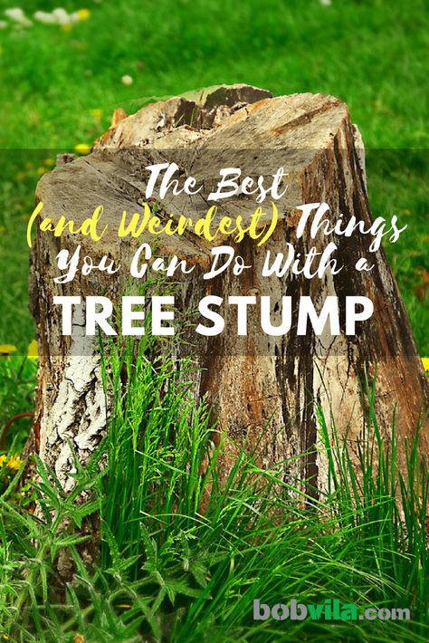 Tree Stumps Diy, Tree Stump Decor, Stump Planter, Stump Ideas, Tree Stump Planter, Log Planter, Landscaping Around Trees, Wood Stumps, Tree Stumps