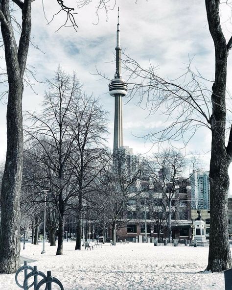 Toronto Snow, Toronto Pictures, Immigration Canada, Hd Pic, Canada Photography, Neverending Story, Toronto City, Toronto Travel, Story Setting