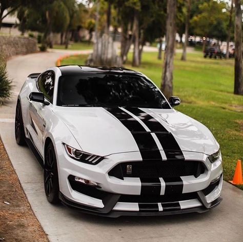 Ford Mustang Shelby Tokyo Drift Cars, 2017 Ford Mustang, Mustang Gt500, Car Quotes, Ford Mustang Car, Aesthetic Cool, Car Organization, Ford Mustang Shelby Gt500, Aesthetic Car