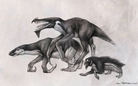 Scifi Creatures, Speculative Zoology, Speculative Biology, Convergent Evolution, Lost Island, Warhammer Fantasy Roleplay, Speculative Evolution, Penguin Art, Fox Illustration