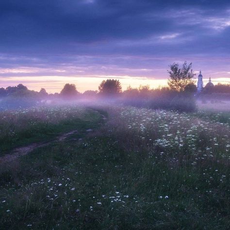 Fog Aesthetic, Dawn Aesthetic, Pretty Landscapes, Purple Aesthetic, Nature Aesthetic, Pretty Places, Sky Aesthetic, Green Aesthetic, Pretty Pictures