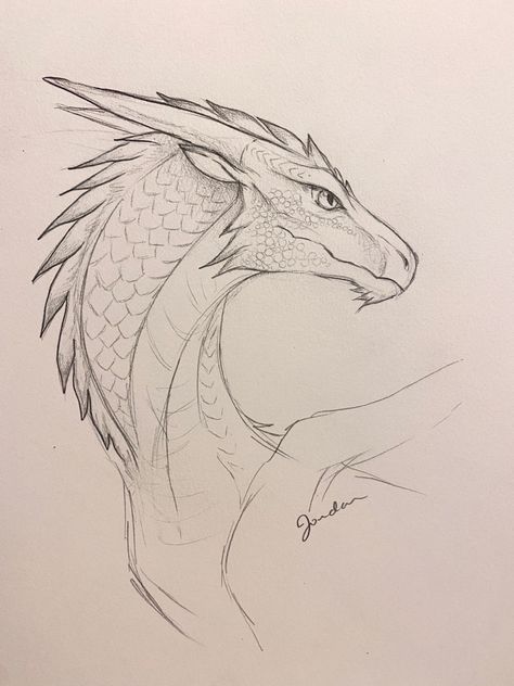 Easy Dragon Head Drawings, Dragon Drawing Side View, Animal Side Profile Drawing, Dragon Face Sketch, Dragon Head Side View, Dragon Side Profile, Dragon Side View, Dragon Face Drawing, Dragon Head Art